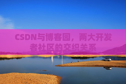 CSDN与博客园，两大开发者社区的交织关系