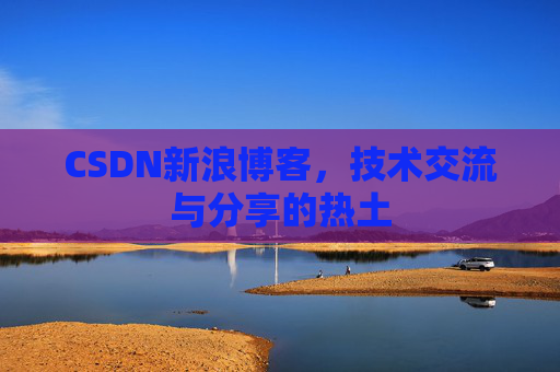 CSDN新浪博客，技术交流与分享的热土