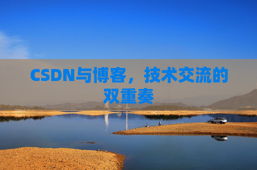 CSDN与博客，技术交流的双重奏