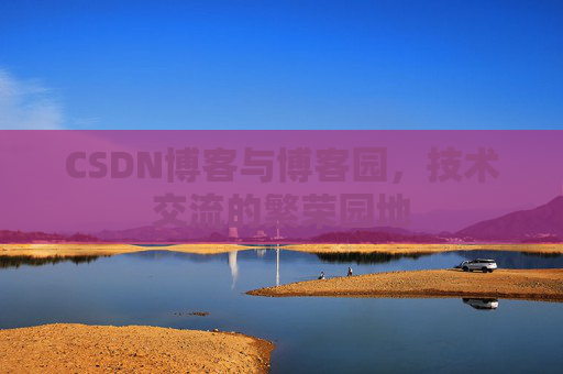 CSDN博客与博客园，技术交流的繁荣园地